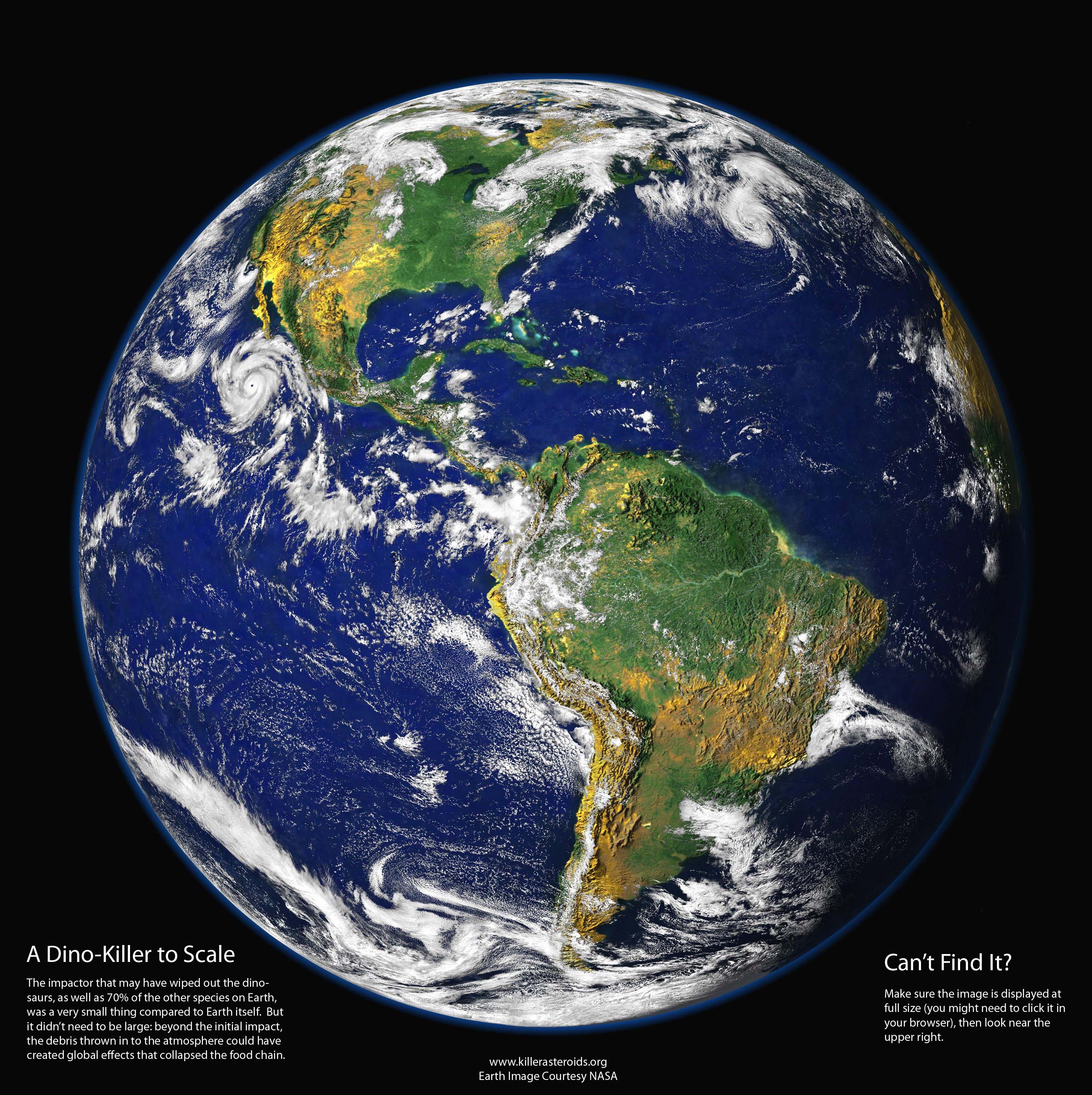 Effects of global warming essay